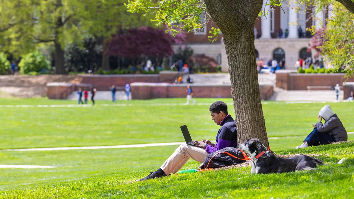 A student sits against a tree on McKeldin Mall typing on a laptop with a dog resting beside him on a sunny day.